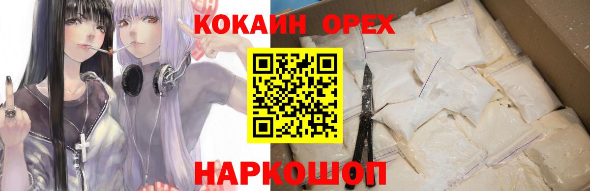 APVP Старая Русса