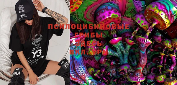 бошки Осинники