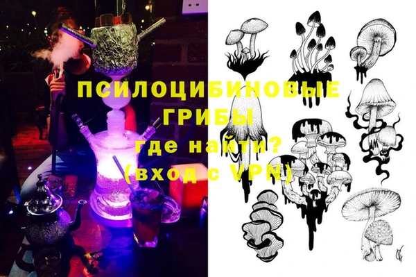 тгк Весьегонск
