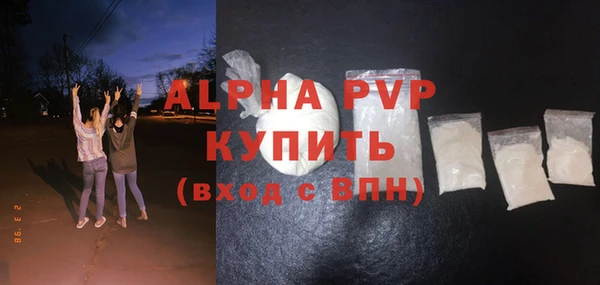 прущие грибы Осташков