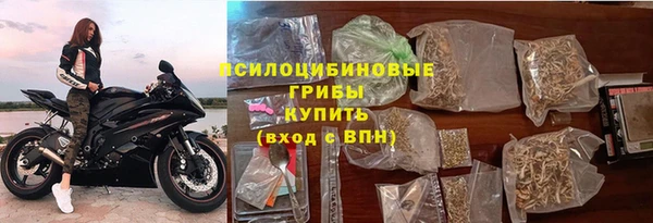 прущие грибы Осташков