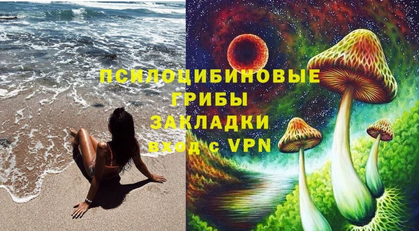 тгк Весьегонск