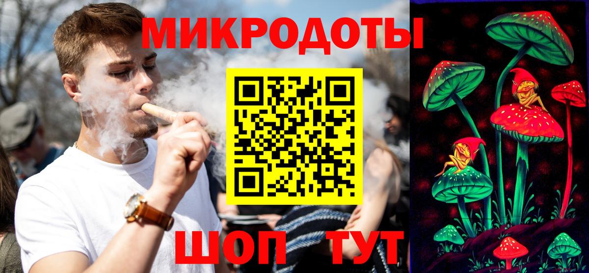 Псилоцибиновые грибы мухоморы  наркотики  Старая Русса  Галлюциногенные грибы Psilocybe 