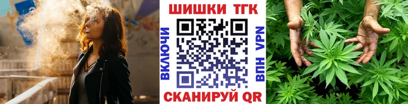 где купить наркоту  Старая Русса  ссылка на мегу вход  Бошки марихуана THC 21% 