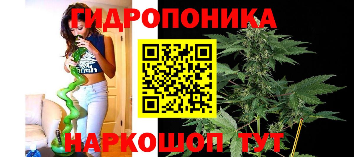 Бошки марихуана OG Kush Старая Русса